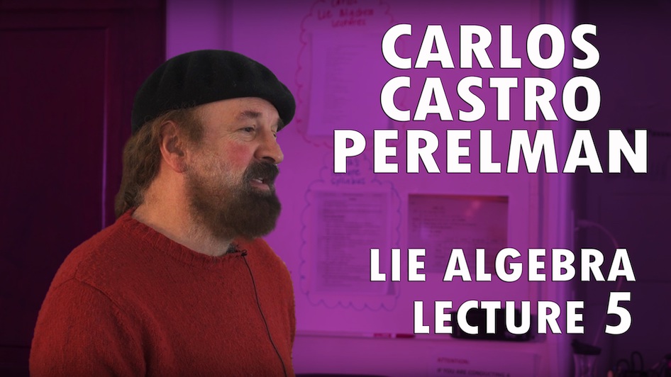 Lie Algebra Lecture Series